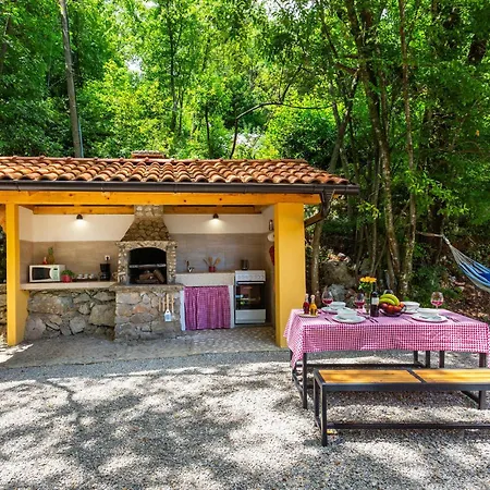 Pet Friendly In Holiday home