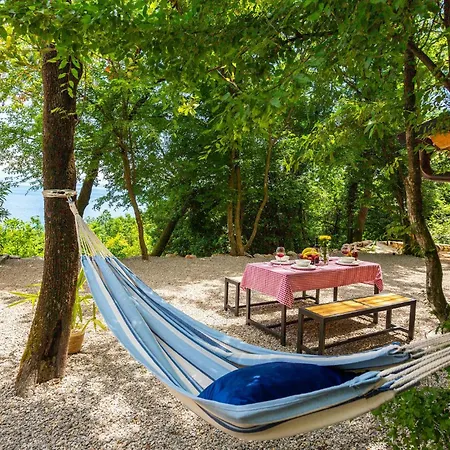 Pet Friendly In Holiday home *